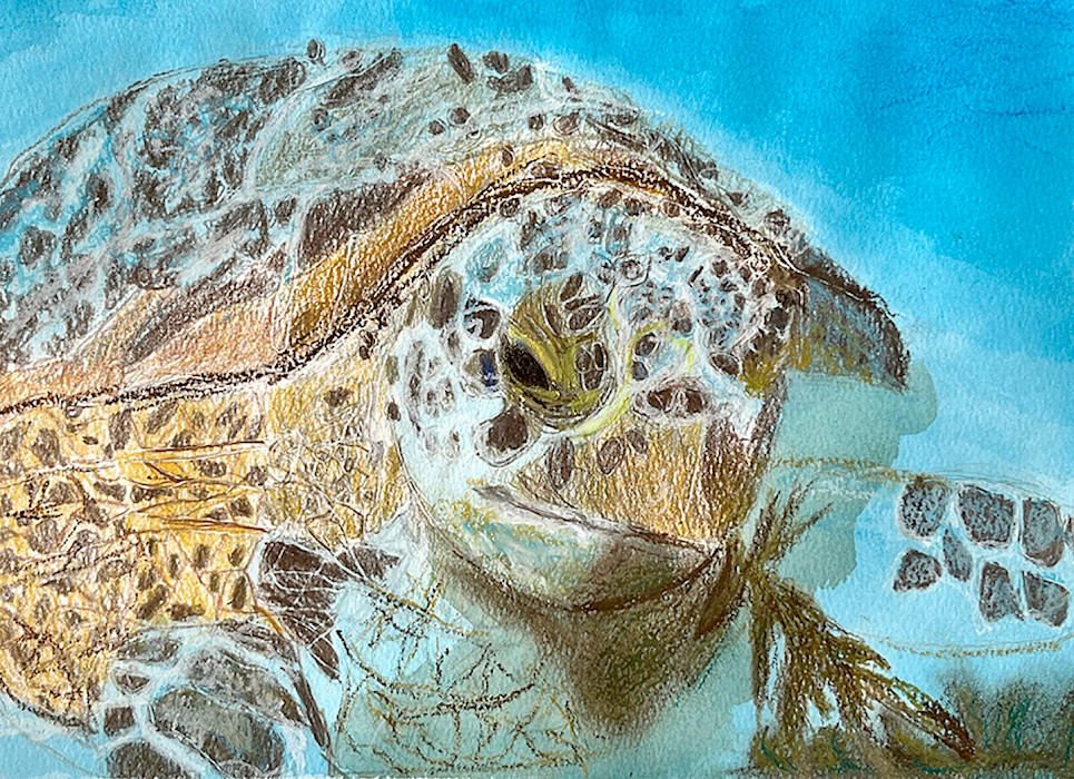 Honoralble Mention: Carter M., "An Encounter Among the Waves," Prismacolor© colored pencil, watercolor, and oil pastel, 9 x 12 in., C D Creative Studio, Art Educator: Cynthia Dealhunt.