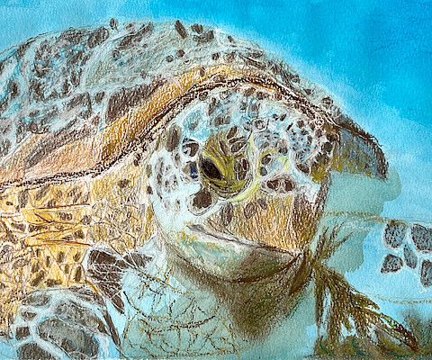 Honoralble Mention: Carter M., "An Encounter Among the Waves," Prismacolor© colored pencil, watercolor, and oil pastel, 9 x 12 in., C D Creative Studio, Art Educator: Cynthia Dealhunt.