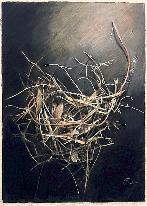 Sasha B., "Nest," pastel on sandpaper, 22 x 16 in., Little Rock Central High School, Art Educator: Jason McCann.