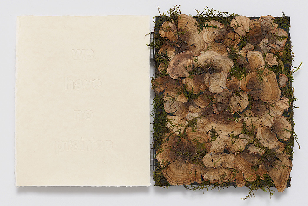 Tricia Wright (Rickmansworth, England, 1962 - ), "We Have No Prairies" from "Bogland Variations," 2024, crushed peat turf, moss, fungi, and steel on handmade cotton and abaca paper, 14 x 22 in., Courtesy of the artist and Dieu Donné, New York. Photo by Jeffrey Sturges. Artwork created in collaboration with Dieu Donné, New York.