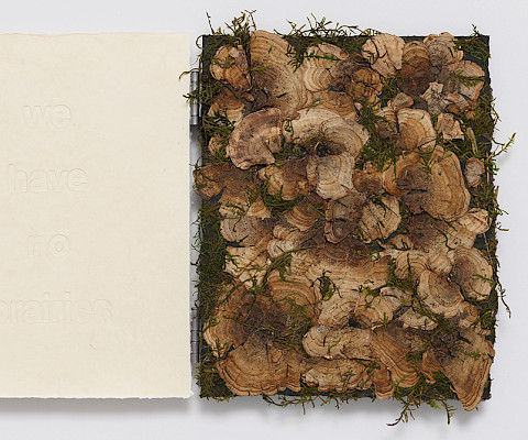 Tricia Wright (Rickmansworth, England, 1962 - ), "We Have No Prairies" from "Bogland Variations," 2024, crushed peat turf, moss, fungi, and steel on handmade cotton and abaca paper, 14 x 22 in., Courtesy of the artist and Dieu Donné, New York. Photo by Jeffrey Sturges. Artwork created in collaboration with Dieu Donné, New York.