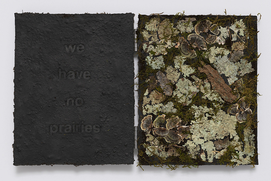 Tricia Wright (Rickmansworth, England, 1962 - ), "We Have No Prairies" from "Bogland Variations," 2024, crushed peat turf, moss, fungi, lichen, tree bark, and steel on handmade cotton and abaca paper, 14 x 22 in., Courtesy of the artist and Dieu Donné, New York. Photo by Jeffrey Sturges. Artwork created in collaboration with Dieu Donné, New York.