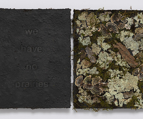 Tricia Wright (Rickmansworth, England, 1962 - ), "We Have No Prairies" from "Bogland Variations," 2024, crushed peat turf, moss, fungi, lichen, tree bark, and steel on handmade cotton and abaca paper, 14 x 22 in., Courtesy of the artist and Dieu Donné, New York. Photo by Jeffrey Sturges. Artwork created in collaboration with Dieu Donné, New York.