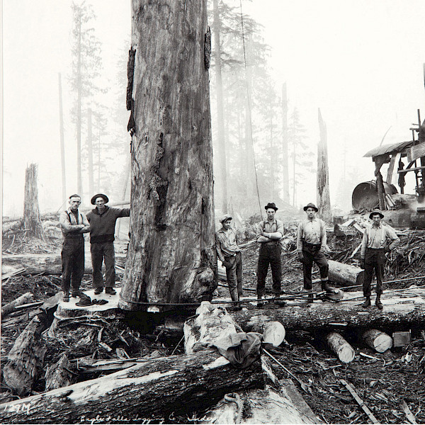 Black and white photograph of loggers in a forest by Darius Kinsey.