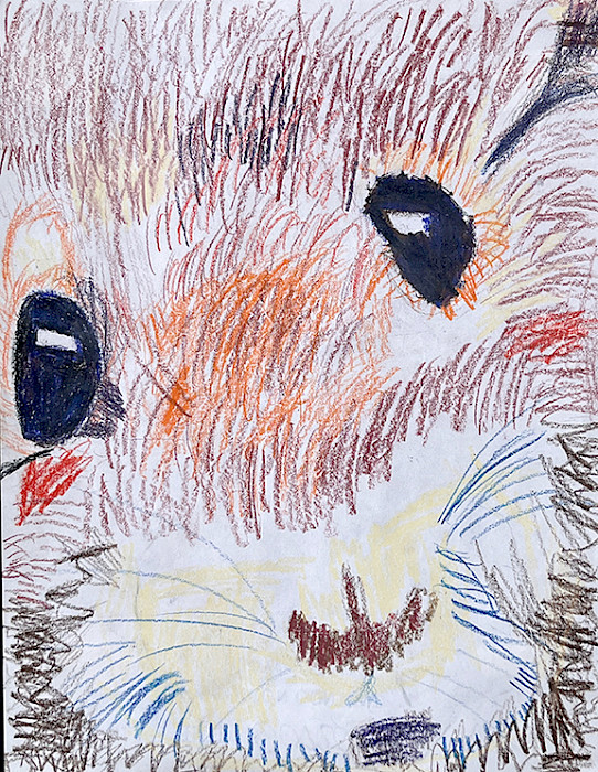 Eddie S., "Mr. Wiskers," Prismacolor colored pencil, 8.5 x 11 in., CD Creative Studio, Art Educator: Cynthia Delahunt.