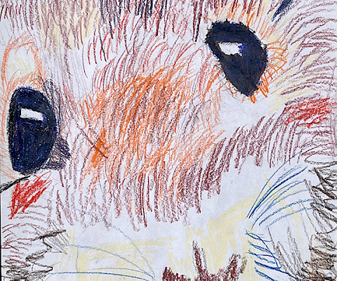 Eddie S., "Mr. Wiskers," Prismacolor colored pencil, 8.5 x 11 in., CD Creative Studio, Art Educator: Cynthia Delahunt.