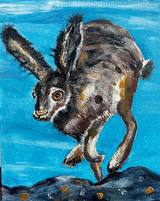 Marshall T., "Black-Tailed Jackrabbit," acrylic, 8 x 10 in., Private Instruction, Art Educator: Toni Kirkpatrick.