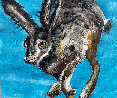 Marshall T., "Black-Tailed Jackrabbit," acrylic, 8 x 10 in., Private Instruction, Art Educator: Toni Kirkpatrick.
