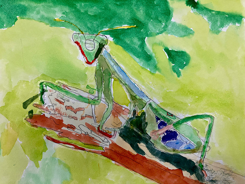 Chance P., "Hands in Prayer," watercolor and glue, 12 x 9 in., West Side Elementary Art Program, Art Educator: Cherie Grizzle.
