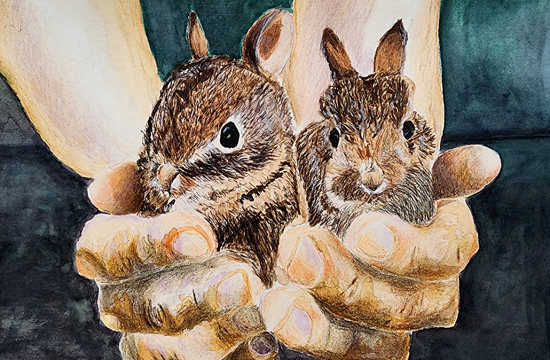 Valerie H., "Angel Bunnies," watercolor and Prismacolor colored pencil, 12 x 8 in., Cabot Middle School North, Art Educator: Lisa Smith.