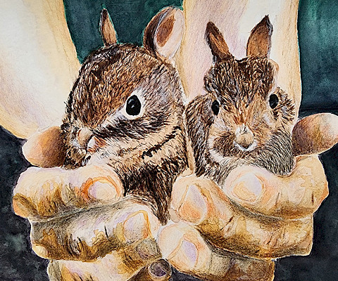 Valerie H., "Angel Bunnies," watercolor and Prismacolor colored pencil, 12 x 8 in., Cabot Middle School North, Art Educator: Lisa Smith.