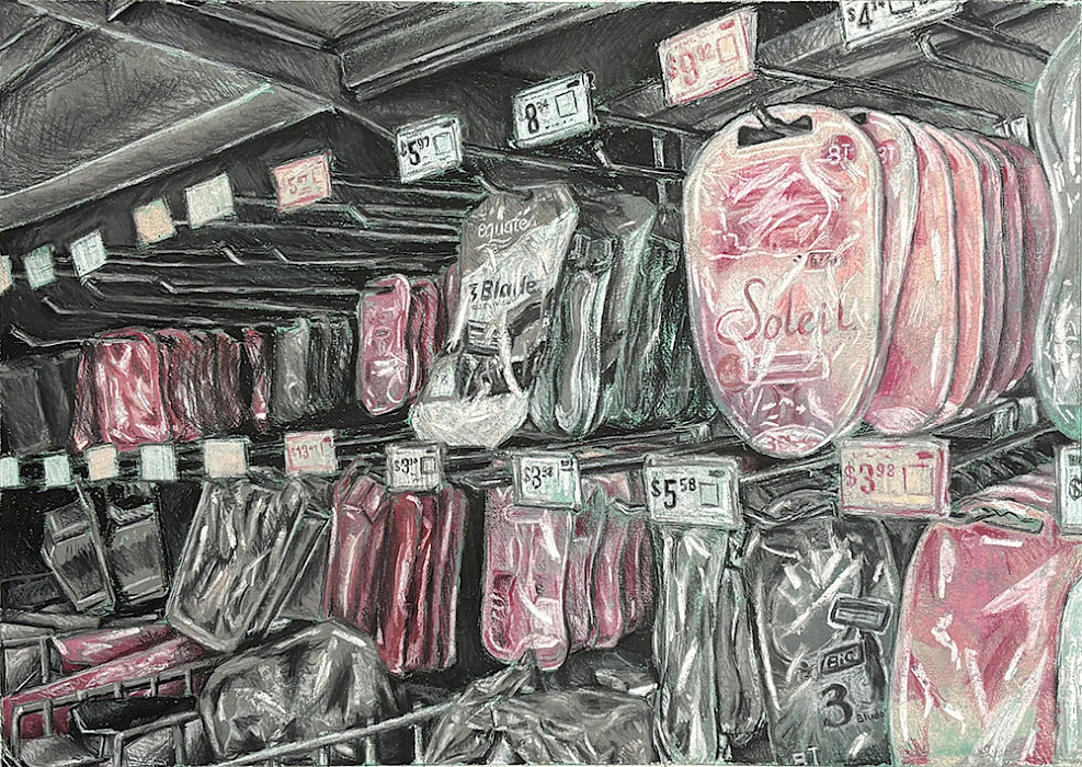 Best in Class: Leah M., "Untitled," chalk pastel, 14 x 18 in., Little Rock Central High School, Art Educator: Rex DeLoney.