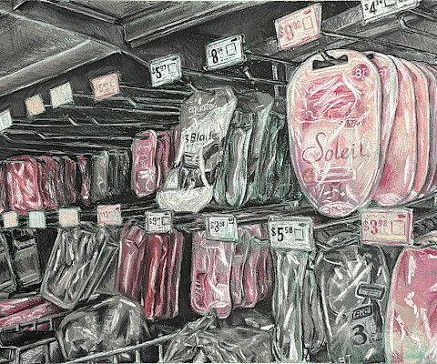 Best in Class: Leah M., "Untitled," chalk pastel, 14 x 18 in., Little Rock Central High School, Art Educator: Rex DeLoney.