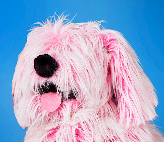 Close up photo of AMFA's pink dog puppet-in-residence, Flurffy. His furry face is visible with a pink tongue sticking out of his mouth.