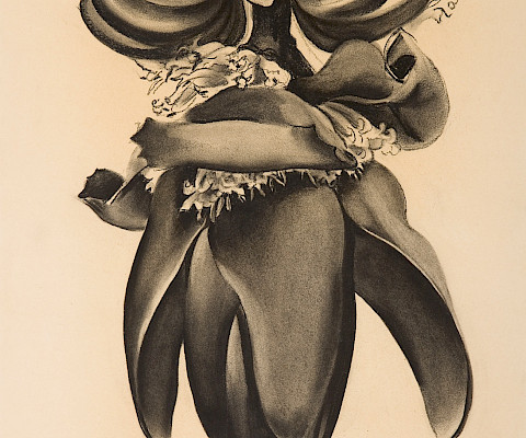 Georgia O’Keeffe (Sun Prairie, Wisconsin, 1887 - 1986, Santa Fe, New Mexico), "Special No. 30 (Banana Flower)," 1934, charcoal on paper, 22 x 15 in., Arkansas Museum of Fine Arts Foundation Collection: Purchase, Tabriz Fund and Museum Purchase Plan of the NEA. 1974.011.008.