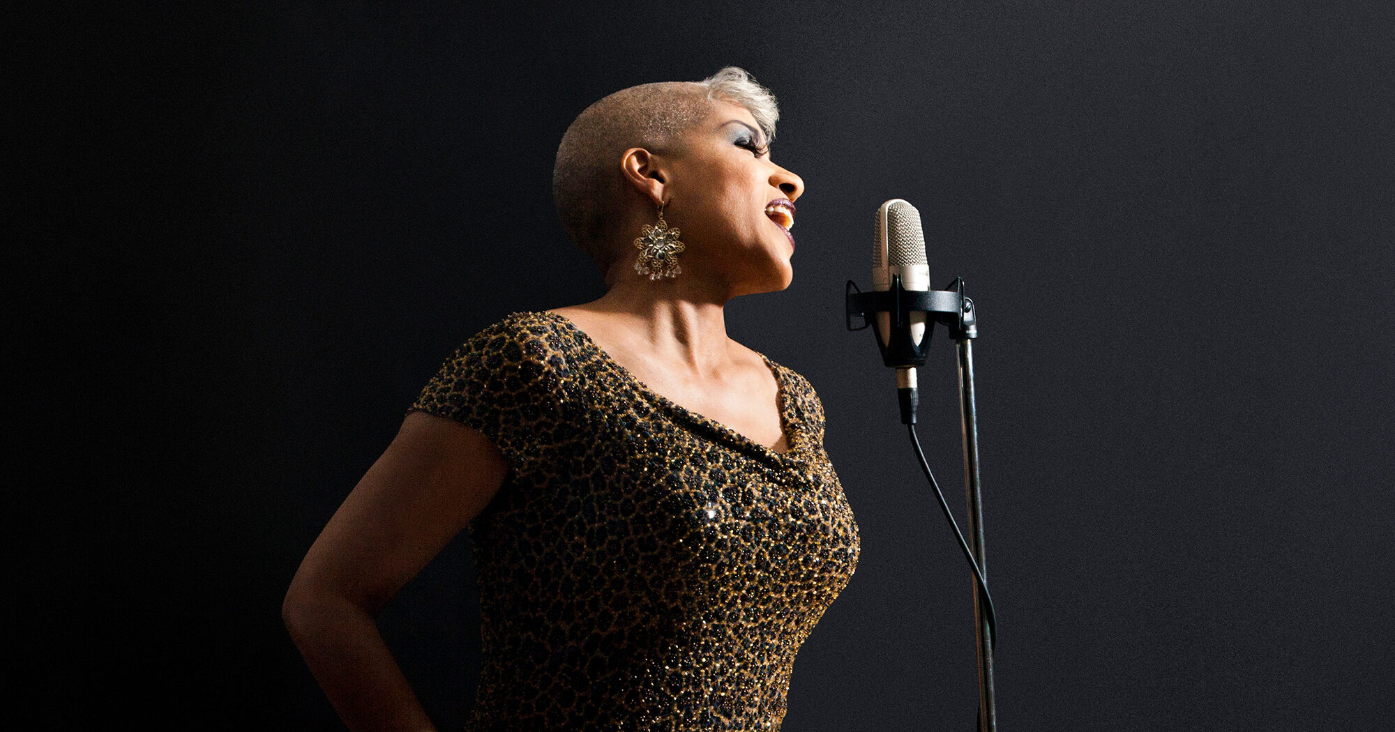 AMFA Announces Lineup for 2024-25 Concert Series