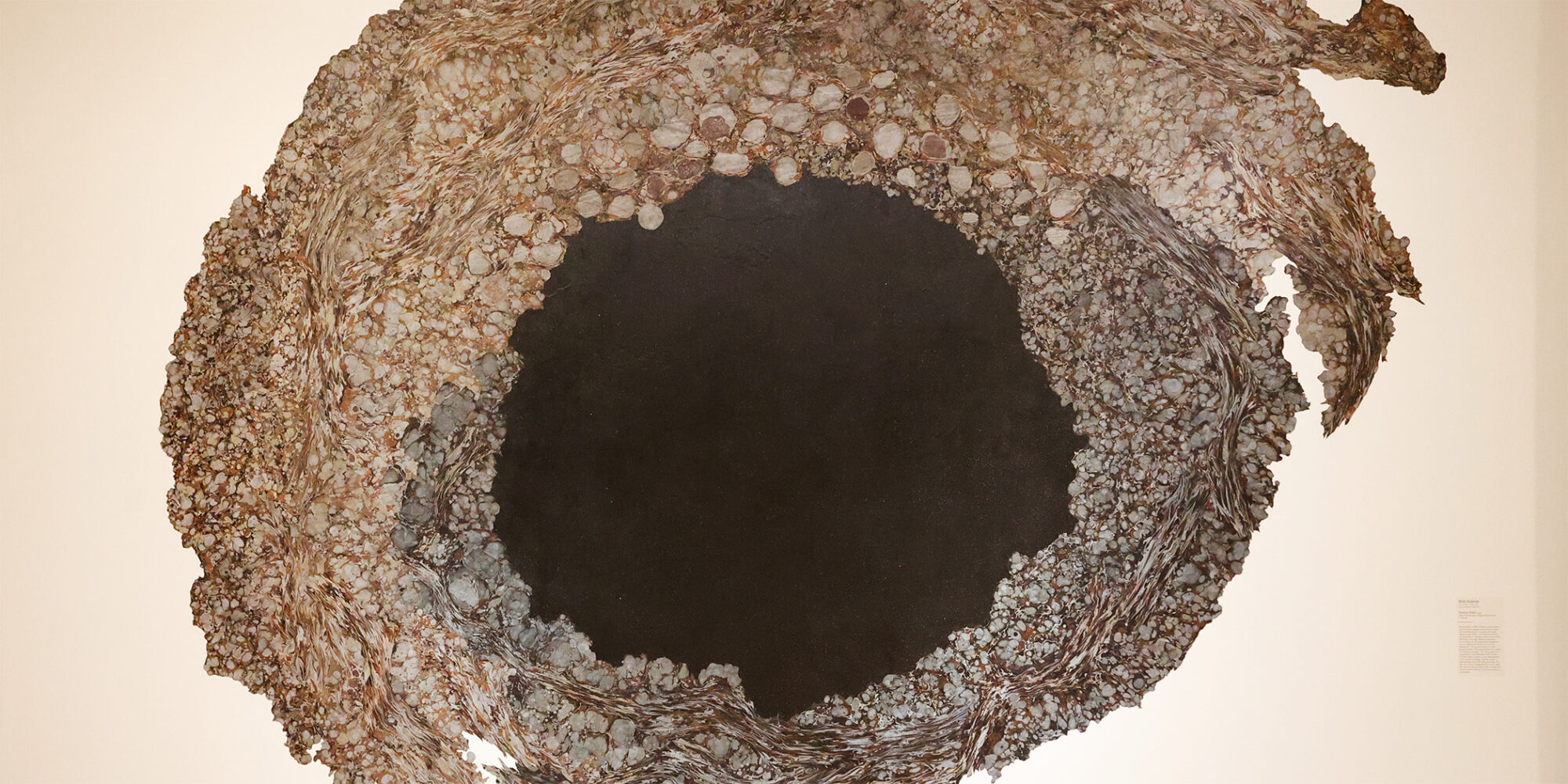 AMFA Announces Molly Kaderka as Grand Prize Winner of the 2024 Delta Triennial