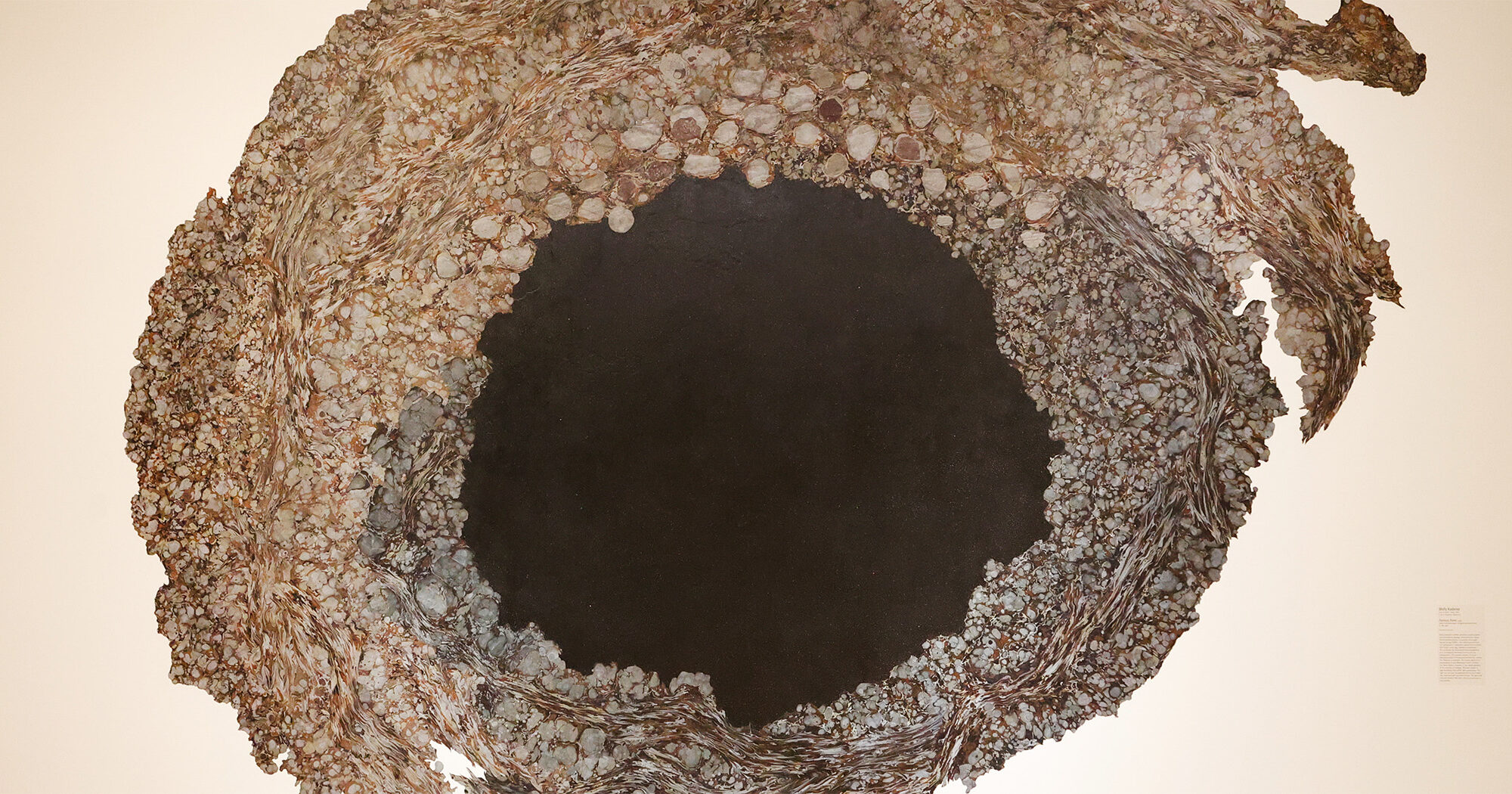 AMFA Announces Molly Kaderka as Grand Prize Winner of the 2024 Delta Triennial