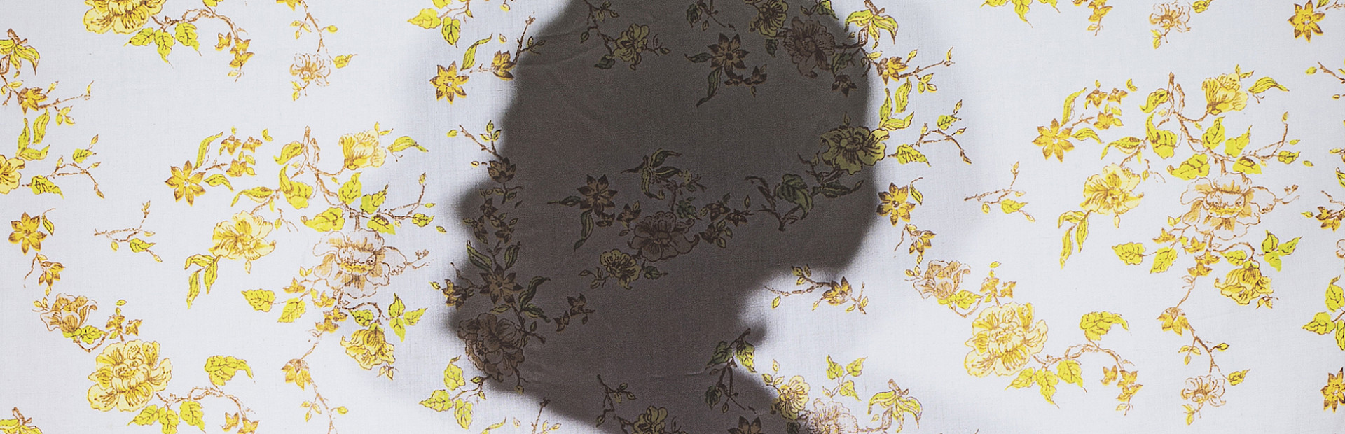 AMFA Unveils 2024 Exhibition Calendar