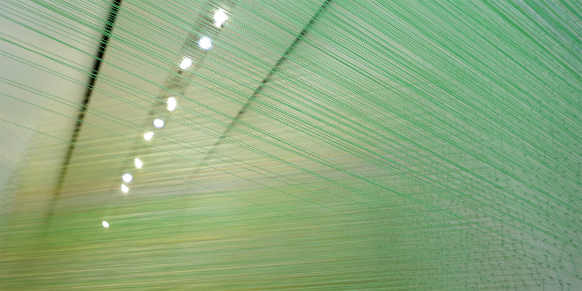 Anne Lindberg: passage