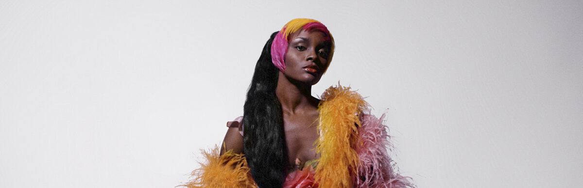 Kwame Brathwaite: The 1970’s