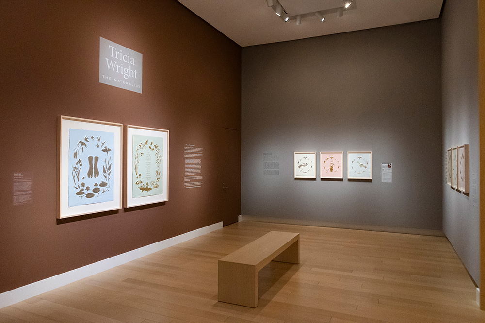 Photo of a gallery at the Arkansas Museum of Fine Arts displaying framed prints.
