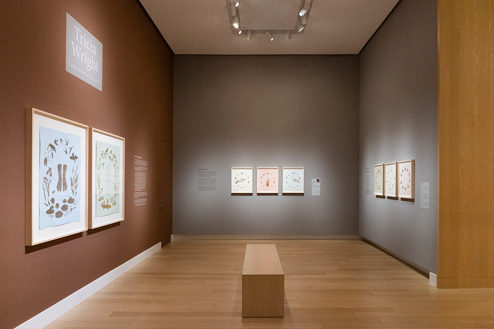 Photo of a gallery at the Arkansas Museum of Fine Arts displaying framed prints.