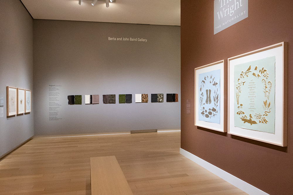 Photo of a gallery at the Arkansas Museum of Fine Arts displaying framed prints.