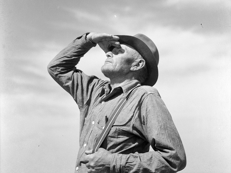 “The Long View” Preview Night