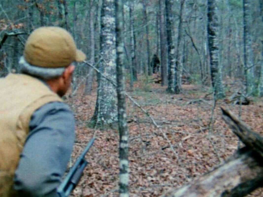 Arkansas Classics: The Legend of Boggy Creek