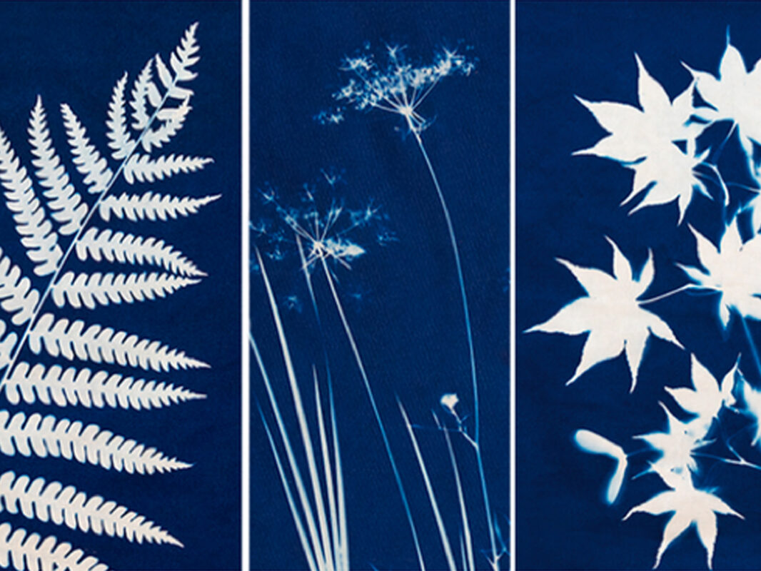 Cyanotype Printmaking Workshop