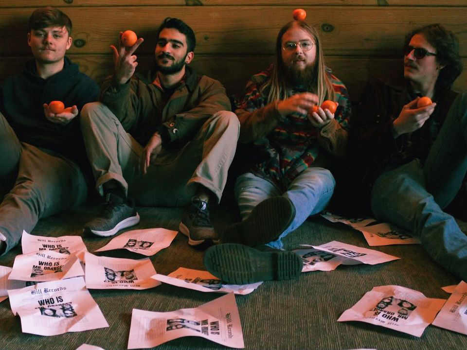 Fridays on the Lawn: Music Edition