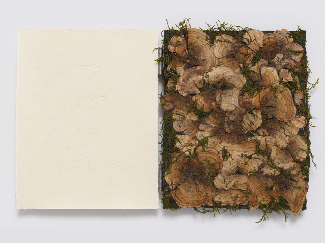 Artist Talk: Tricia Wright & Tatiana Ginsberg