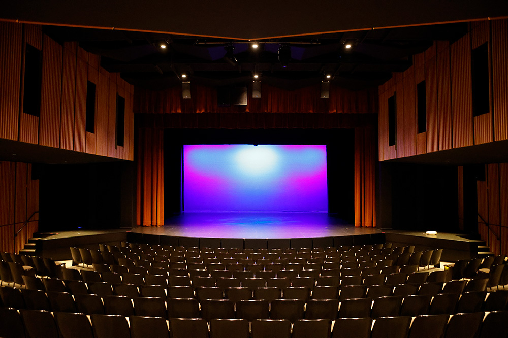 Photo of the Performing Arts Theater at the Arkansas Museum of Fine Arts.