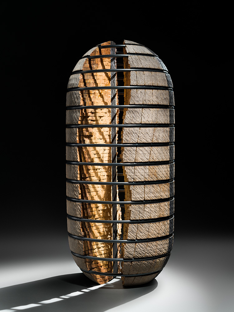 Photo of an abstract oak and steel sculpture by Todd Hoyer.