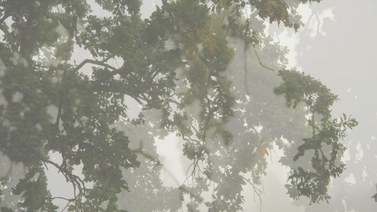 Film still of a large tree.