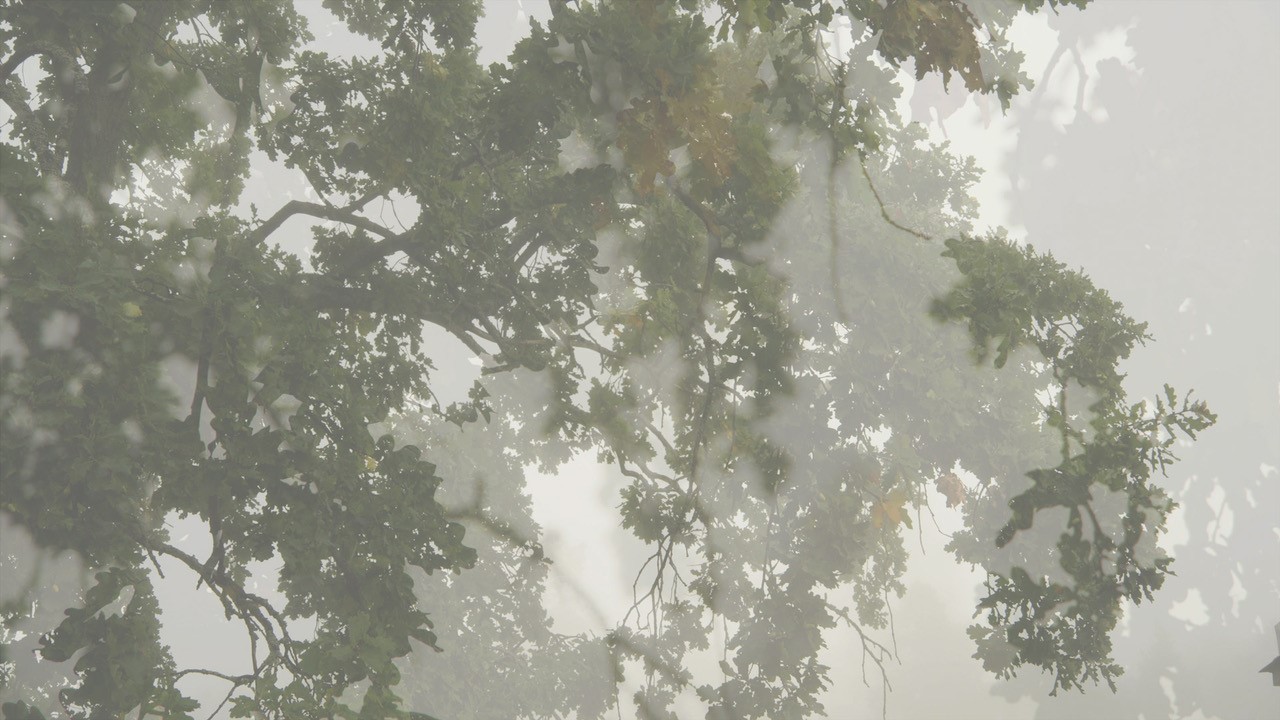 Film still of a large tree.