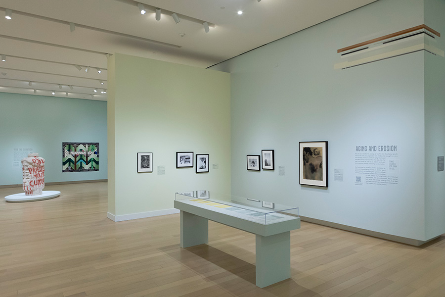 Photo of an art gallery at the Arkansas Museum of Fine Arts.