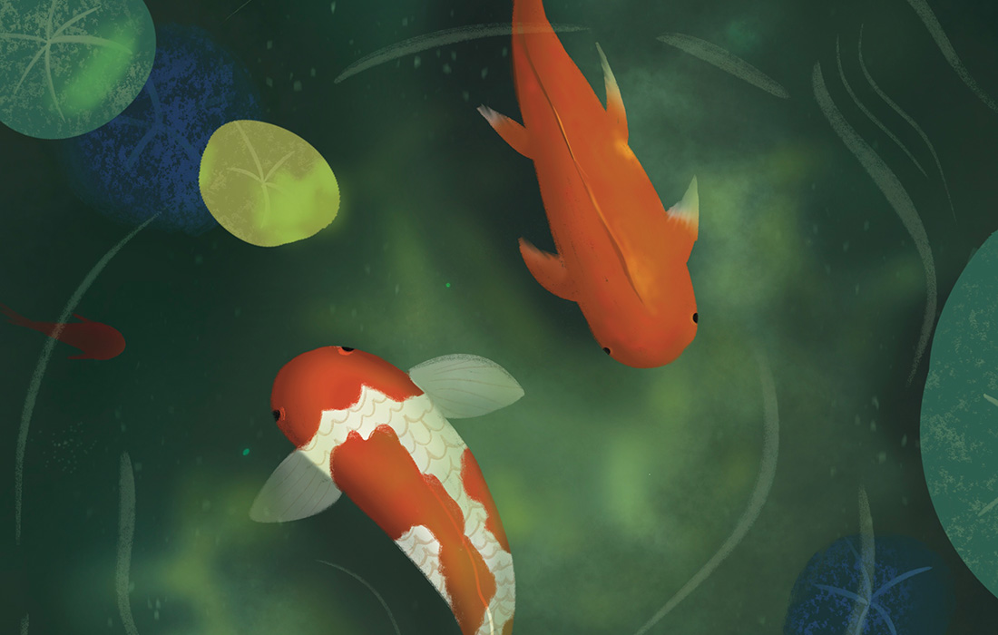 Detail photo of a digital drawing of koi fish in a pond.
