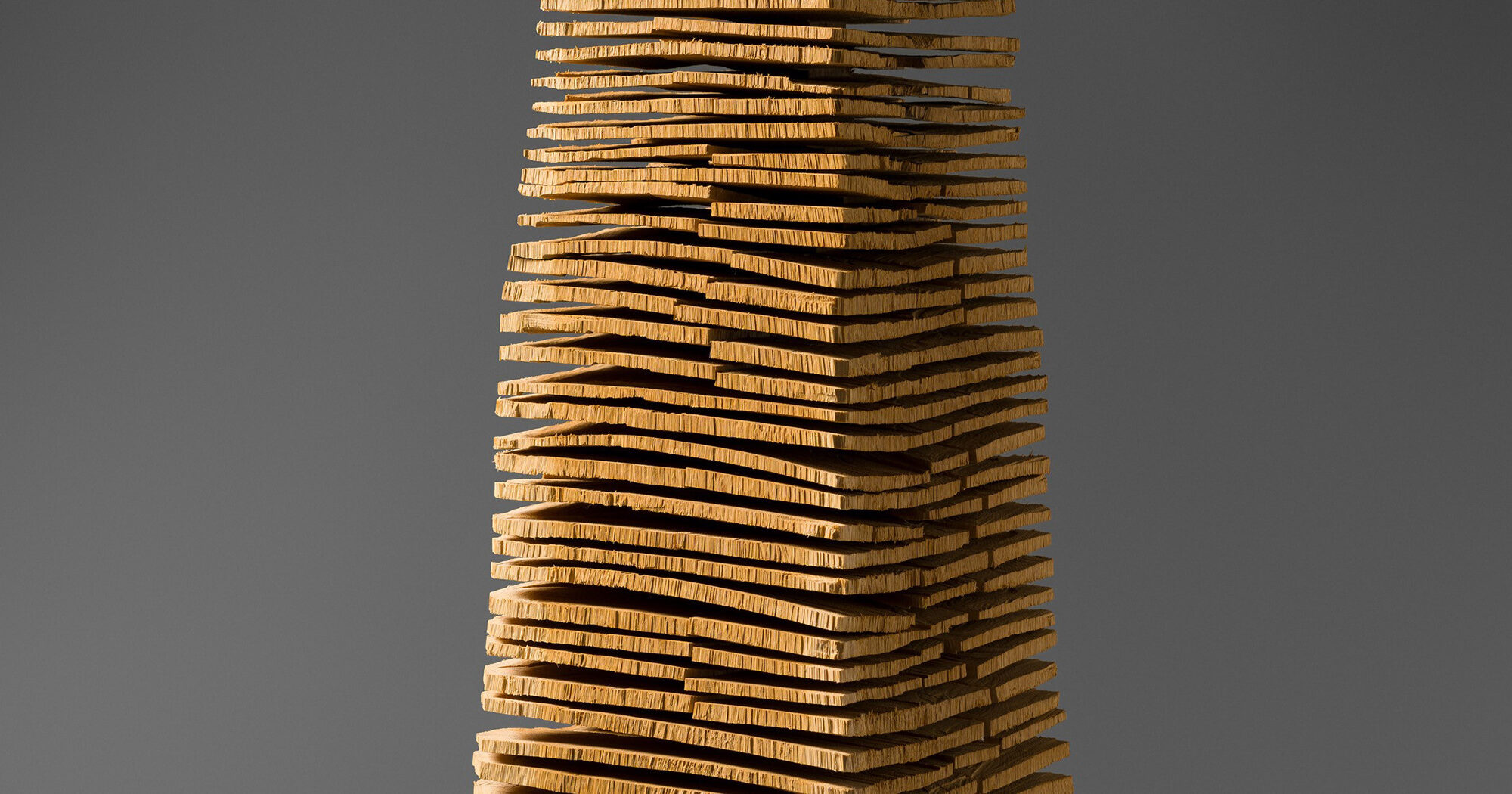 Material Nature: The Robyn and John Horn Collection