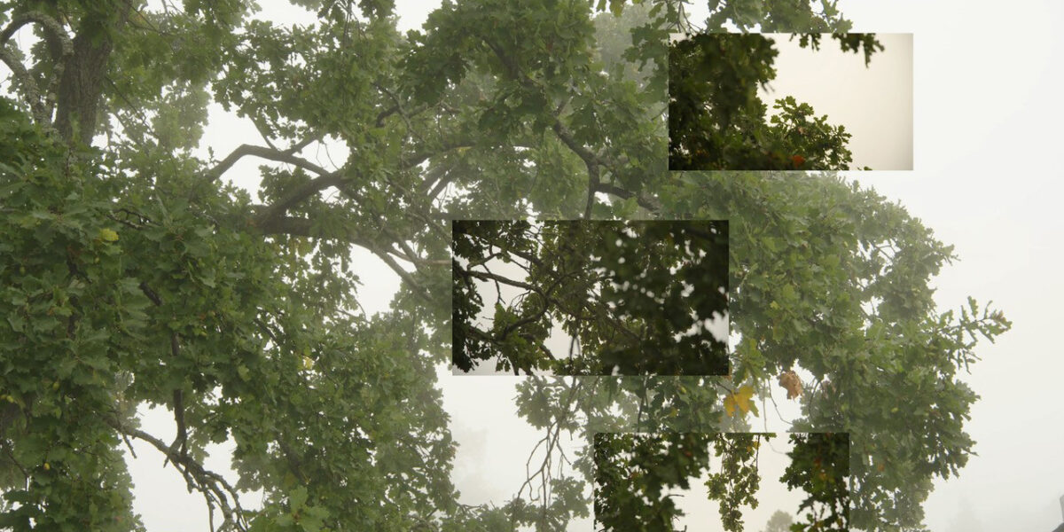 On Breathing: Eija-Liisa Ahtila