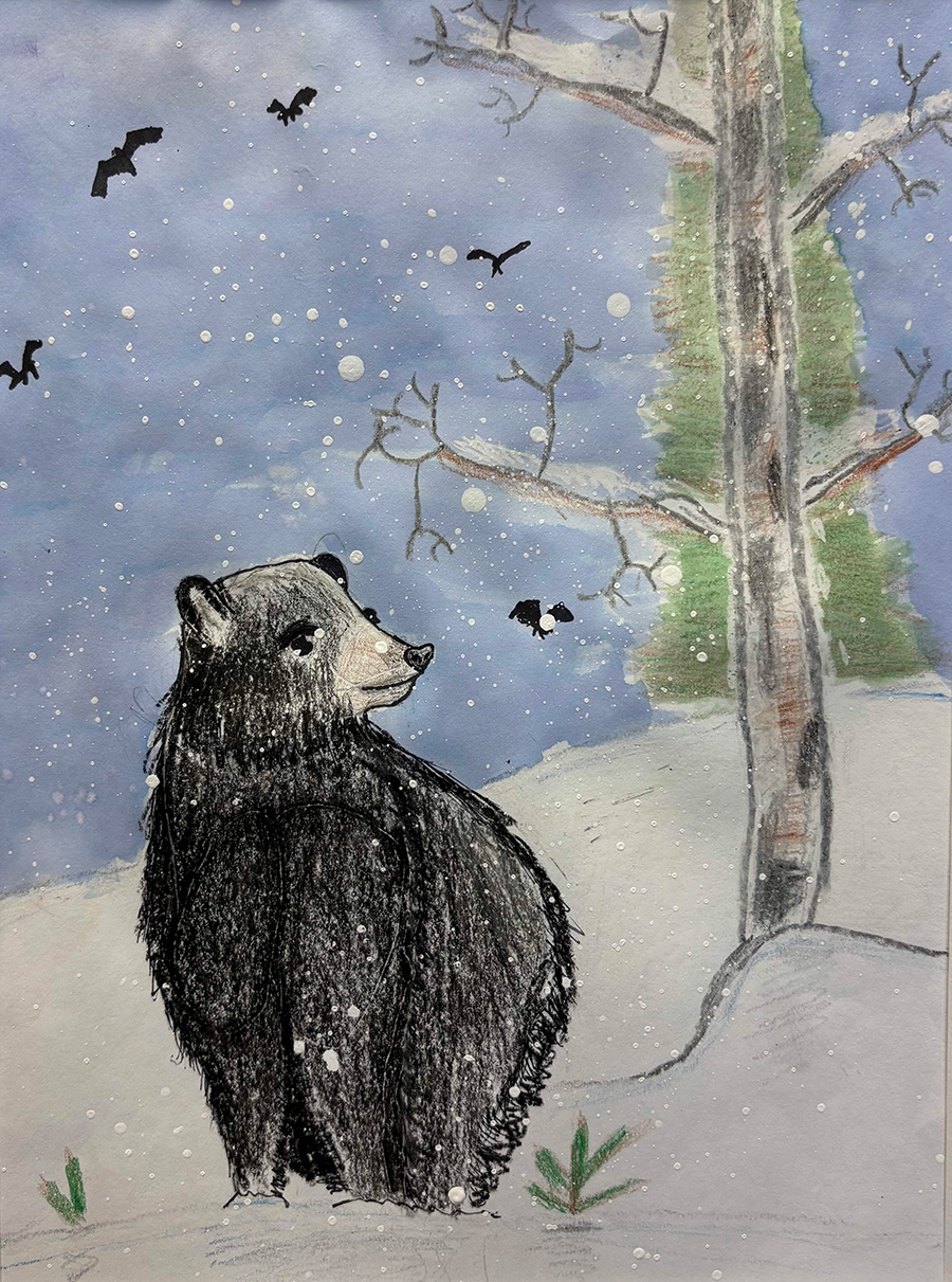 Mixed media drawing of a bear sitting on a snowy hill next to a tree.