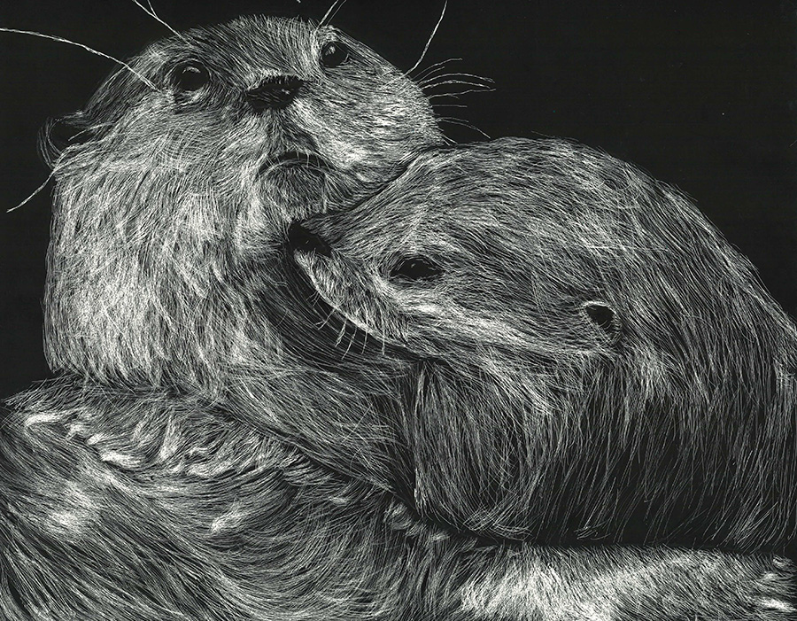 Scratchboard artwork of two otters cuddling.