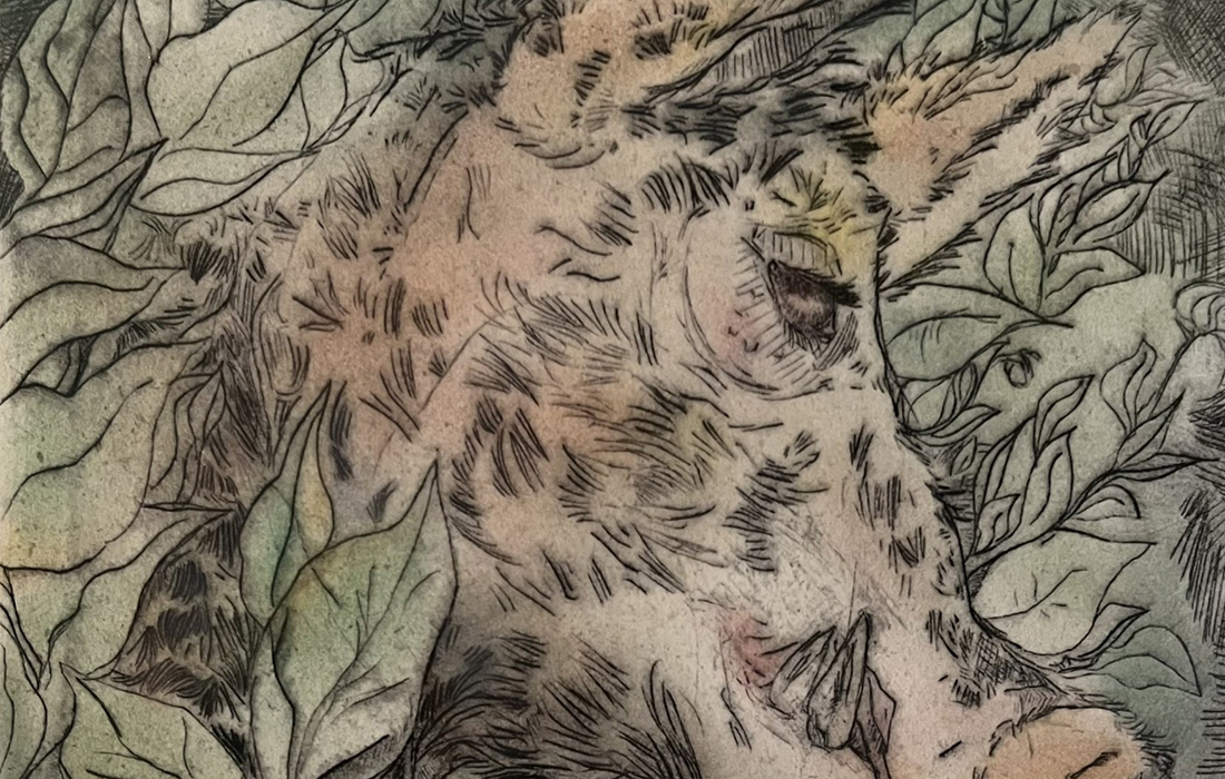 Drypoint Printmaking with Color Workshop