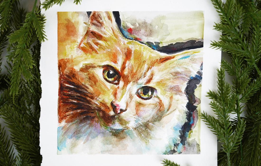 Pet Portrait Workshop