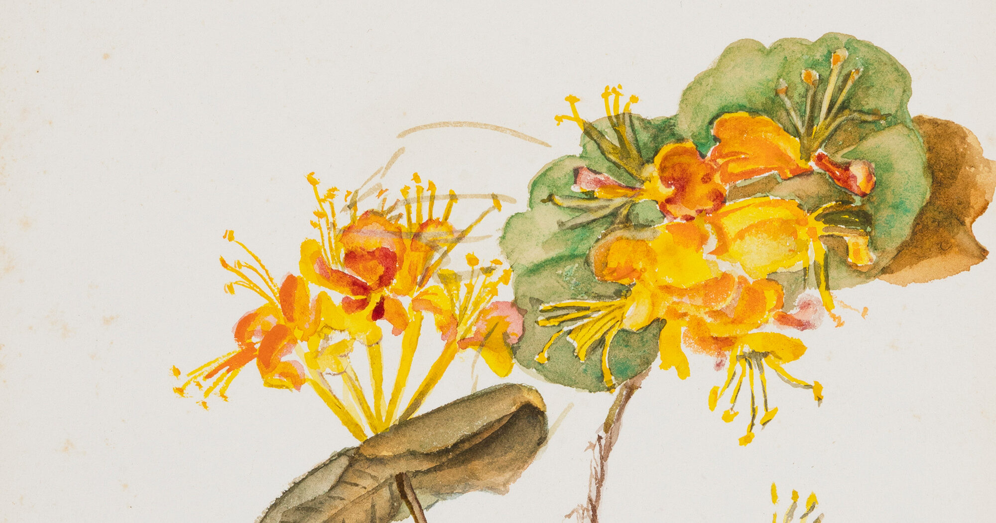 Poetic Ecology: Inez Whitfield and Michael Sherrill